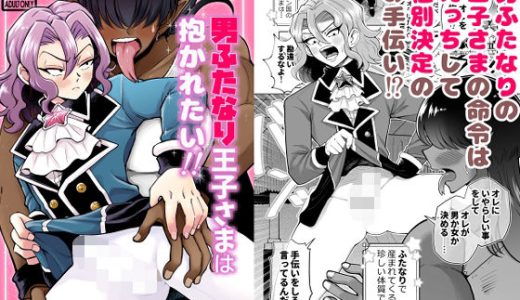 男ふたなり王子さまは抱かれたい！！