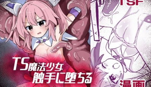 TS魔法少女、触手に堕ちる