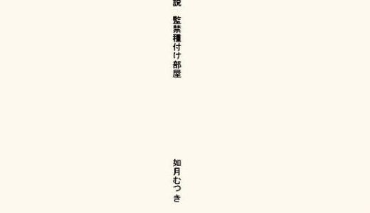 小説・監禁種付け部屋