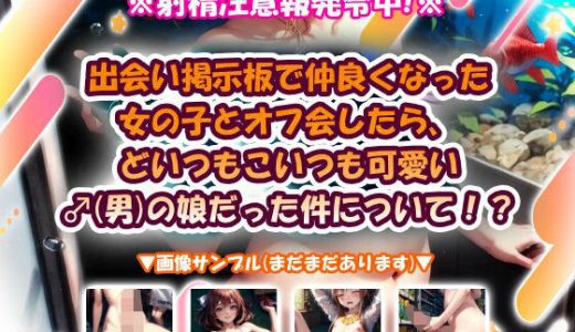 出会い掲示板で仲良くなった女の子とオフ会したら、どいつもこいつも可愛い♂（男）の娘だった件について！？