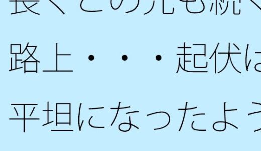 長くこの先も続く路上・・・起伏は平坦になったように今は思えるが・・