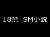 SM小説 2  狙われた女子校生・新見結衣  中巻  無垢なる女体に課される拷問調教編