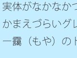 実体がなかなかつかまえづらいグレー靄（もや）のトンネルの中を  細微が問題になる
