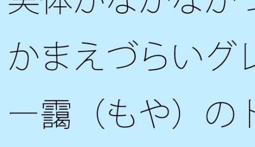 実体がなかなかつかまえづらいグレー靄（もや）のトンネルの中を  細微が問題になる