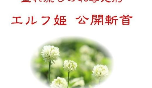 垂れ流しの恥辱処刑エルフ姫公開斬首
