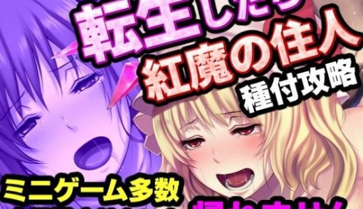 転生したら紅魔館の住人だった件