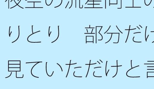 夜空の流星同士のやりとり  部分だけを見ていただけと言えば・・  この日もポケットに携えて