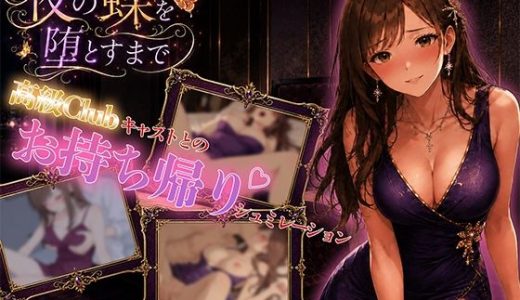 夜の蝶を堕とすまで